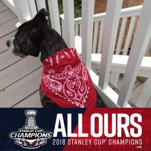 Meet your Posher, Elizabeth